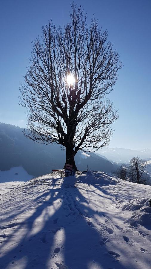 Gasthof Schoental オーバーアウ エクステリア 写真