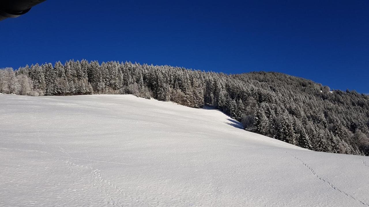 Gasthof Schoental オーバーアウ エクステリア 写真